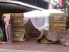 P8300047